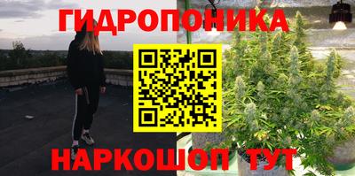 дживик Аргун