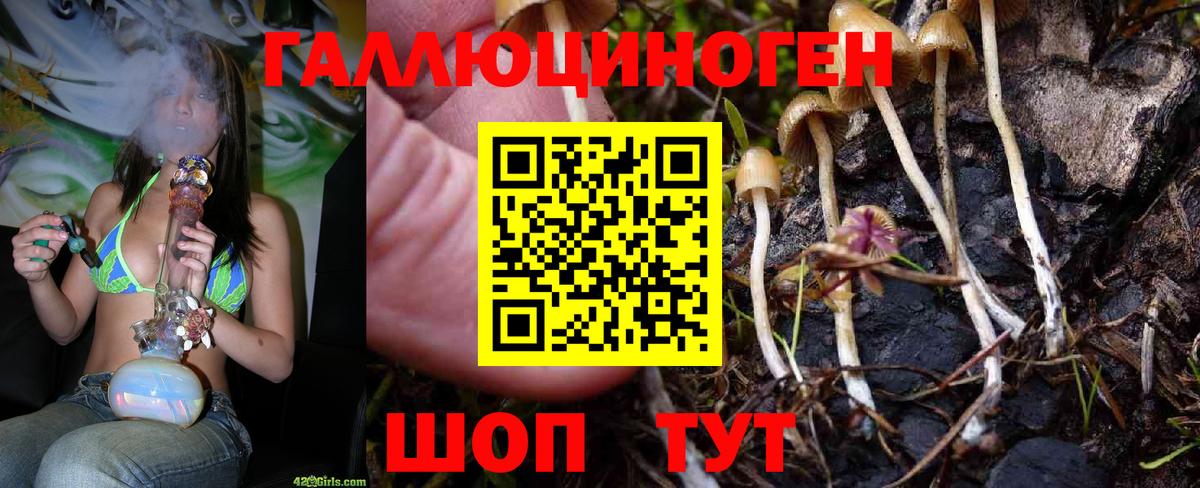 Псилоцибиновые грибы прущие грибы Воронеж